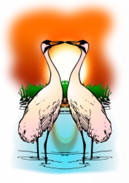 couple of love whooping crane with sunburst background