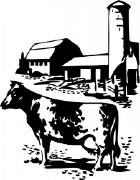 cow and barn in black and white