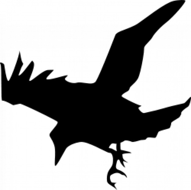 crow flying down silhouette