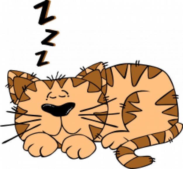 cute sleeping cartoon cat