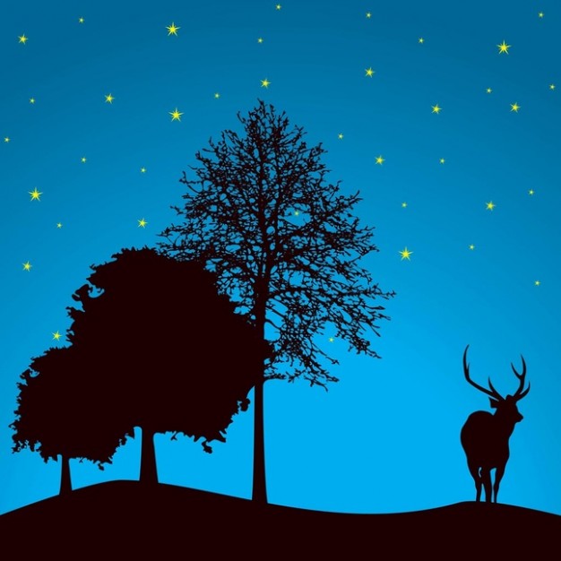 beautiful forest at night with elk tree and star