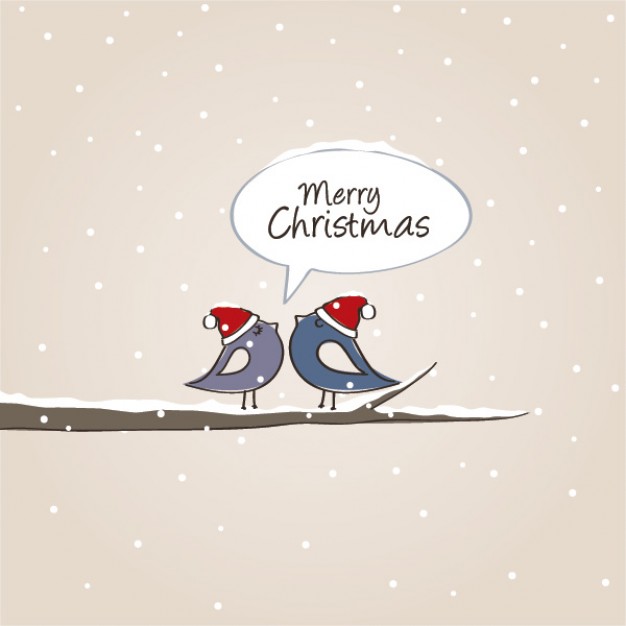 christmas birds with red Christmas hat