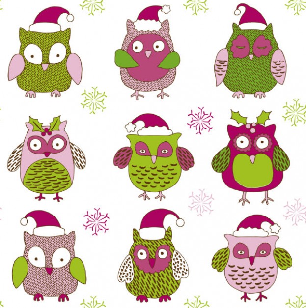 cartoon christmas owl with green or pink cloth pattern