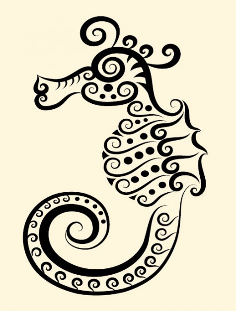 sea horse painted by hand illustration