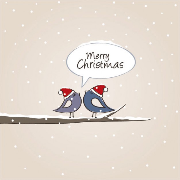 couple cartoon bird with red christmas hats illustration
