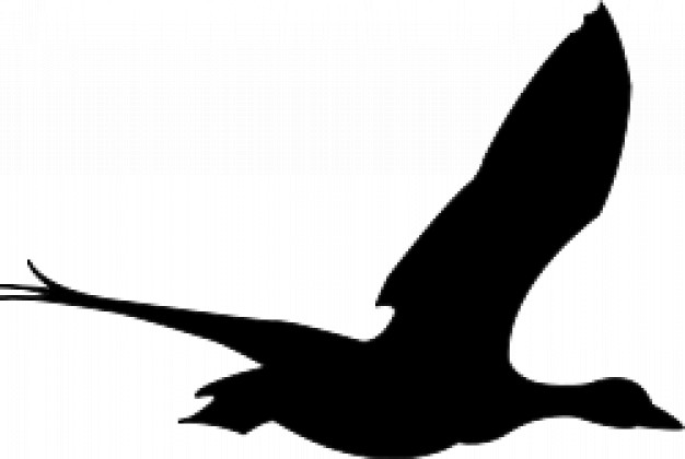 black goose flying silhouette