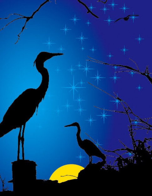 cranes at starry night silhouette