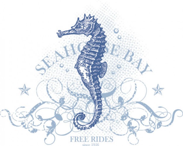 sea horse pattern for t-shirt design