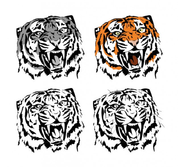 four tiger doodle set
