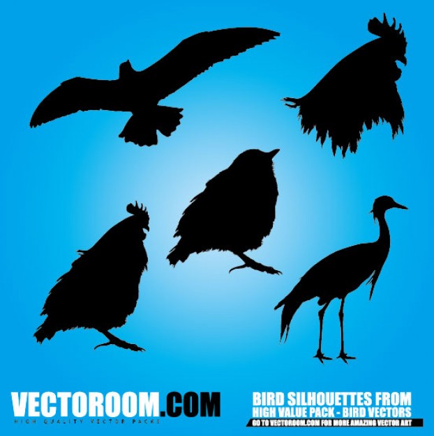 birds silhouettes with roosters hawk crane and more