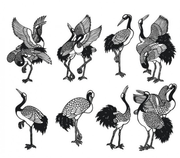 crane line art in different standing pose