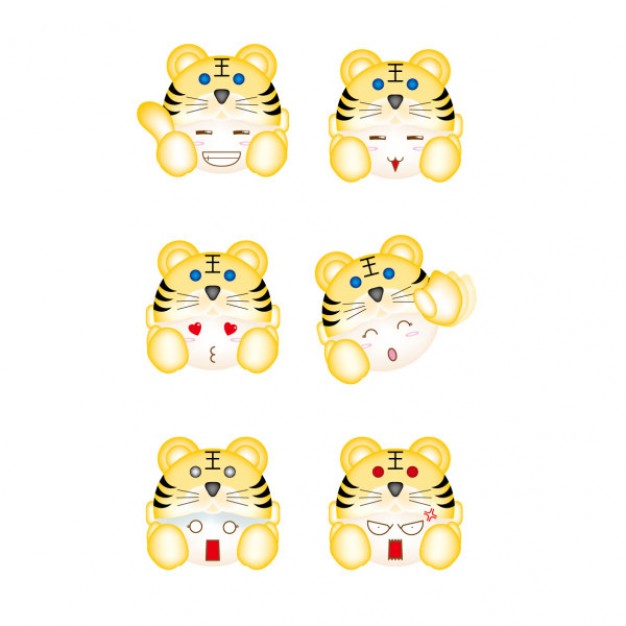 six of the cute tiger aberdeen with different expressions