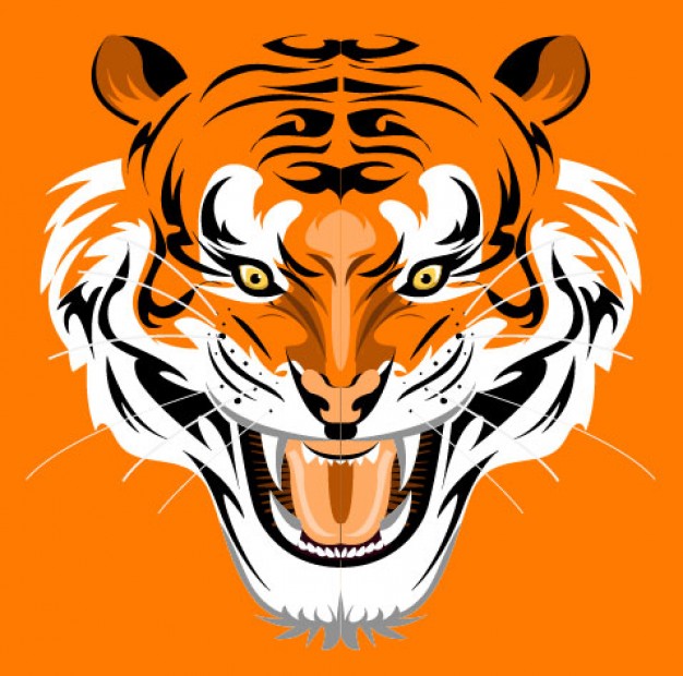 smiling tiger illustration in front view