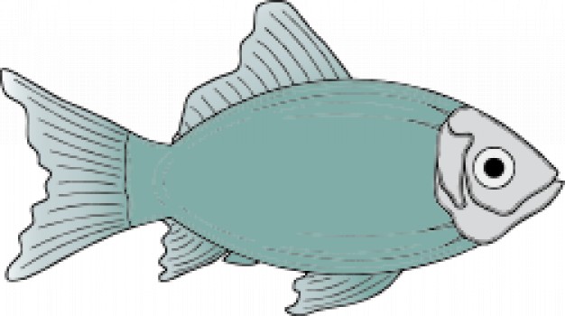 generic fish with light blue body silhouette