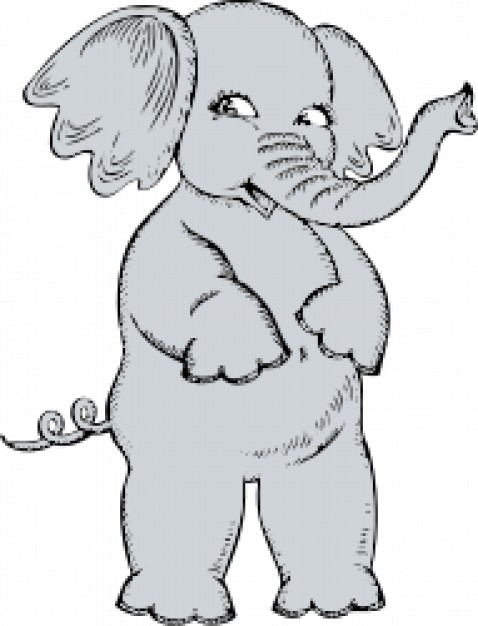 girl elephant standing