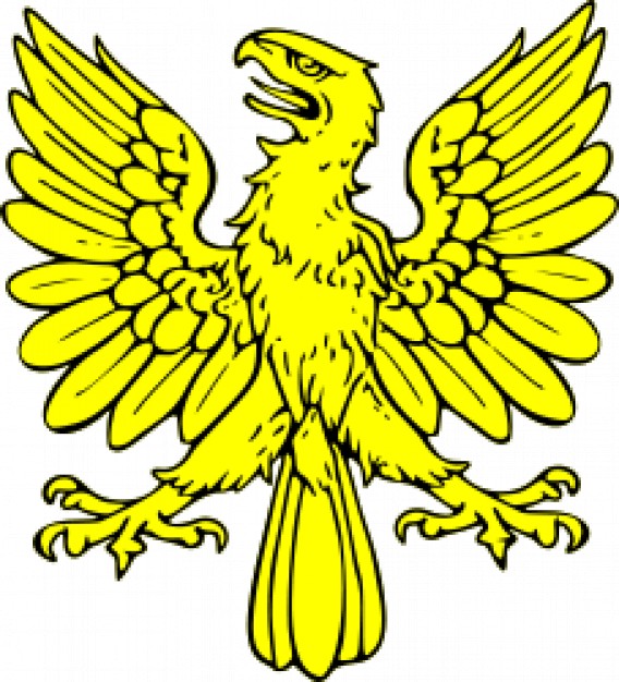 golden eagle displayed