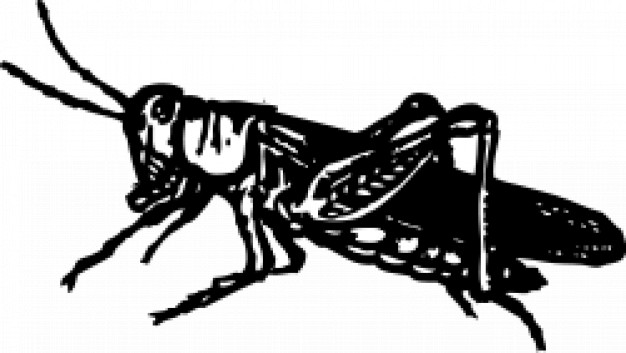 grasshopper silhouette
