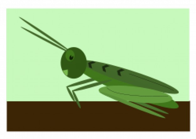 green grasshopper on the brown floor