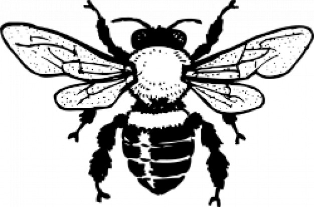 honey bee clip art in back view