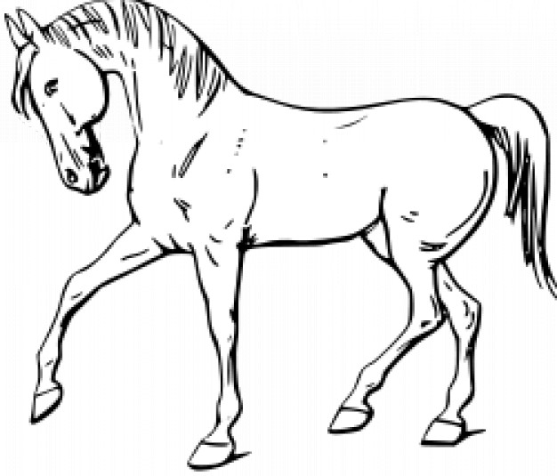 horse walking outline