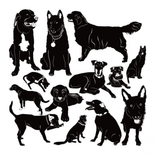 kinds of dogs in black solid
