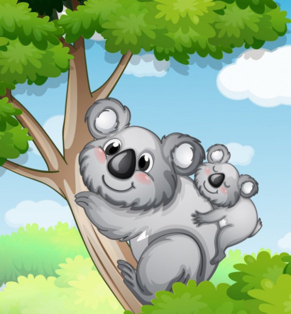 koala climbed on a tree with her son on back