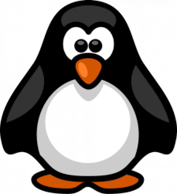 little penguin in front view