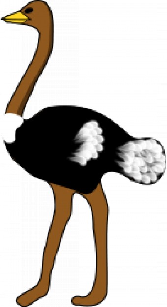 ostrich in side view
