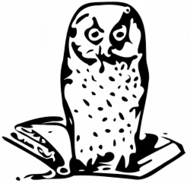owl sitting on book