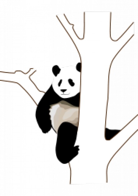 panda climbing on the branch