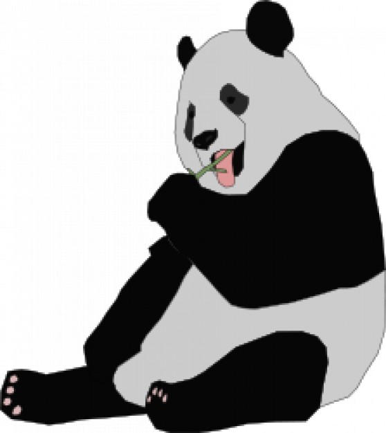 panda sitting and eating bamboo