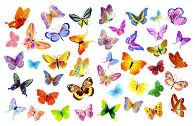 pattern with a variety of beautiful butterfly