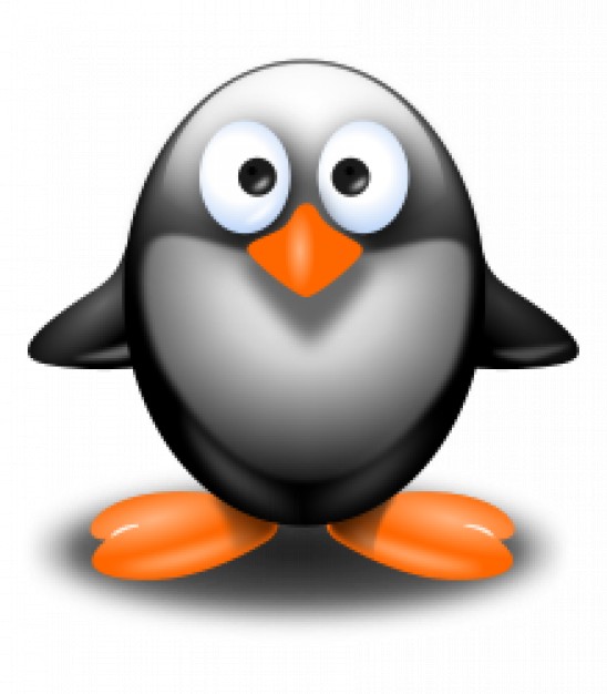 penguin with orange feet and mouth standing in front view