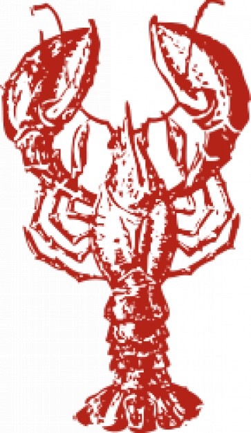 red lobster Outline in top view