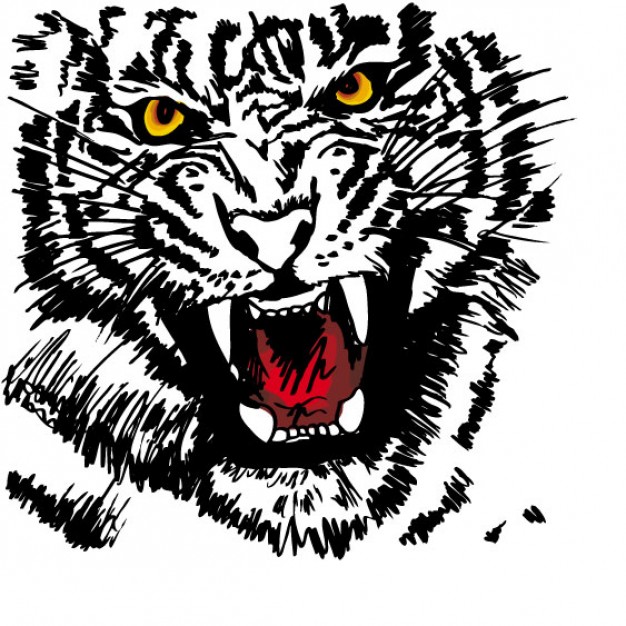 Roaring tiger with yellow eyes in front view