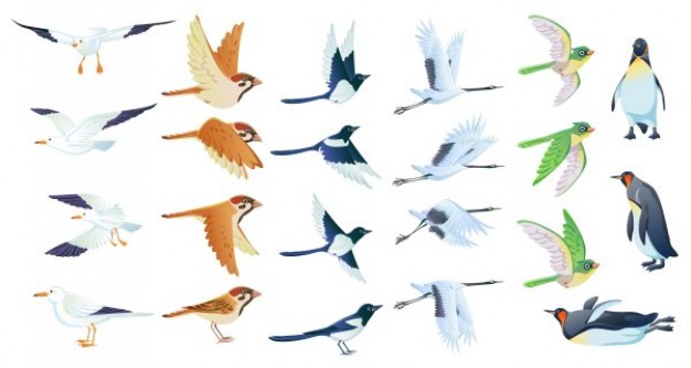 six kinds of birds with different actions