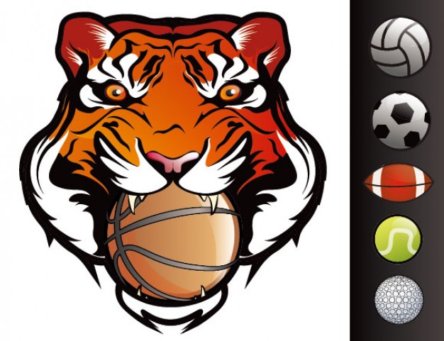 sports tiger griping basketball