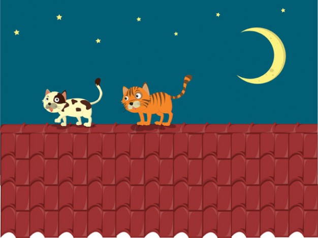the kittens on the roof over night sky of moon