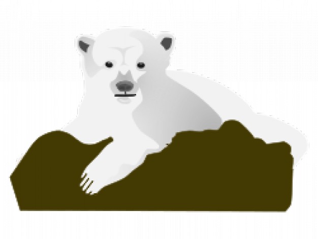 the polar bear falling flat on the ground