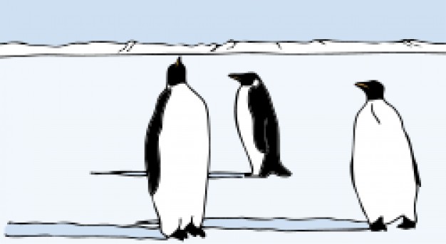 three penguins walking over ice sheet