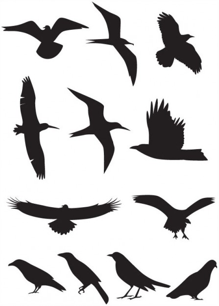 variety of birds silhouette material