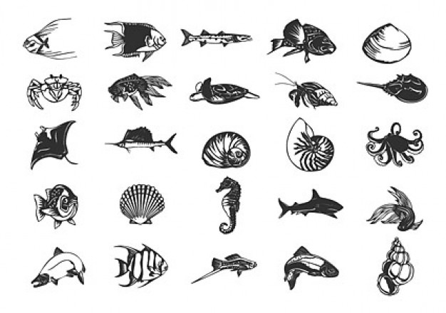 variety of clip art with fishes and marine life