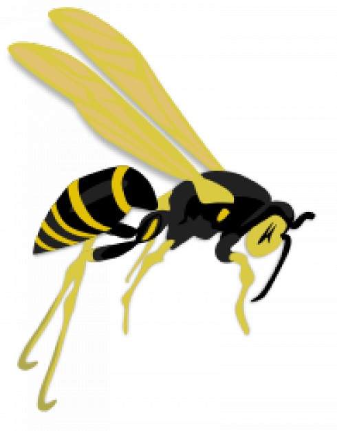 wasp flying with yellow wings and feet