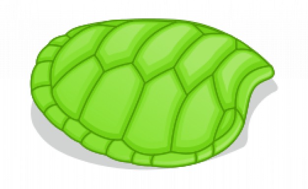 green hoof of turtle without head