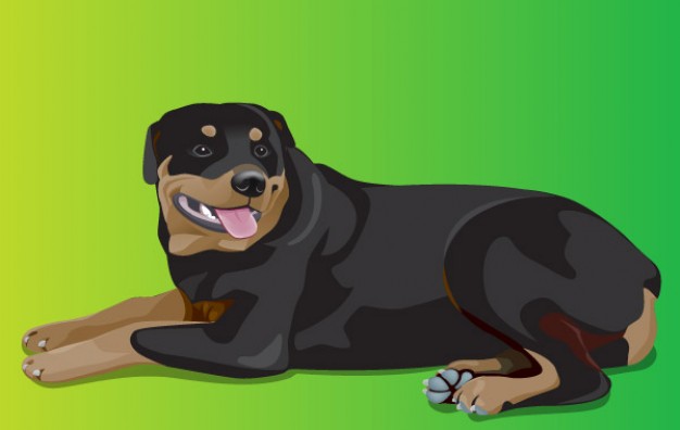 ferocious rottweiler with Pear background