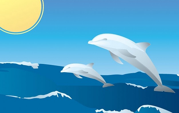 happy dolphins with sea surface and yellow sun background
