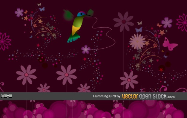 humming bird with Chocolate background