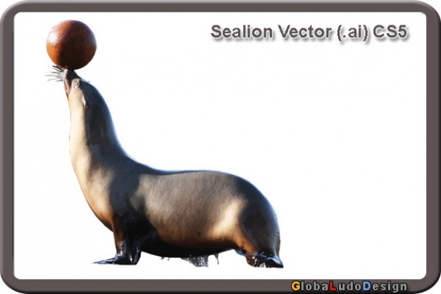 sea lion playing ball with White background