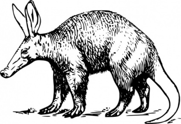 aardvark clip art in side view