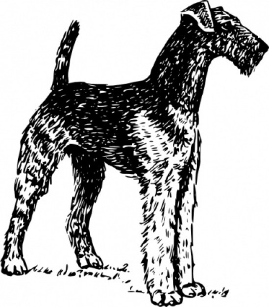 airedale clip art standing in side view